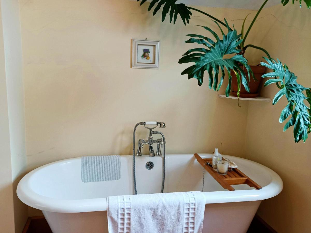 100 Year Old English Character House Hotel Timaru Zewnętrze zdjęcie